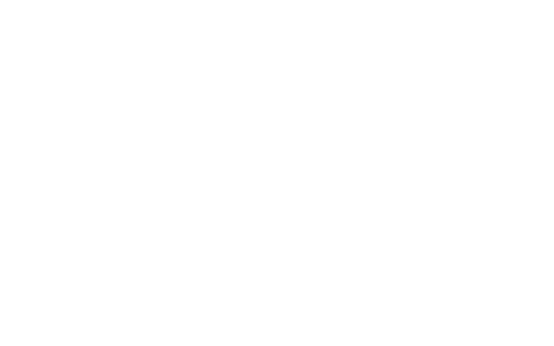 NOKIA Icon