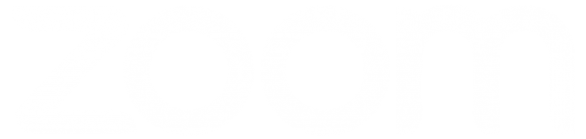 ZOOM Icon